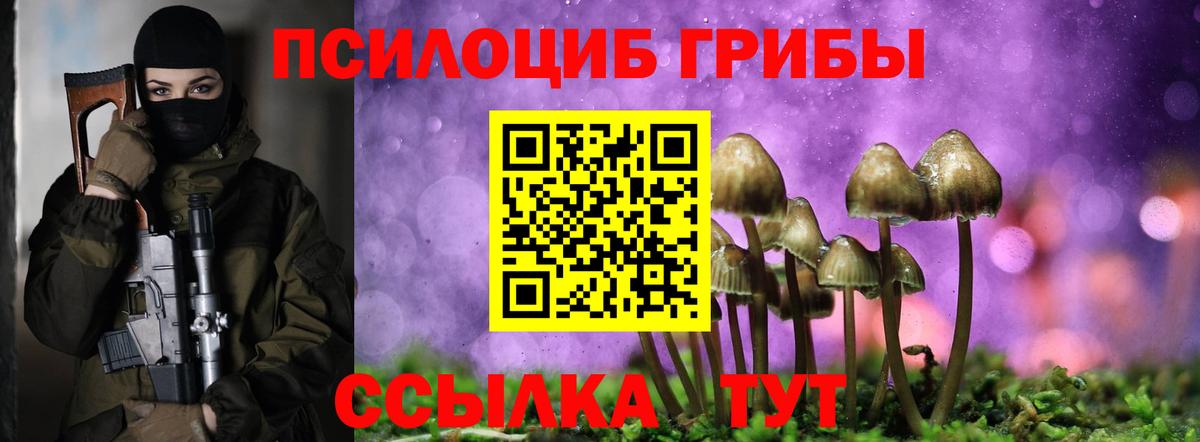 Галлюциногенные грибы GOLDEN TEACHER  Вход с VPN  Биробиджан 