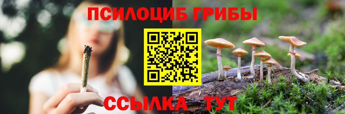 Псилоцибиновые грибы Magic Shrooms Биробиджан